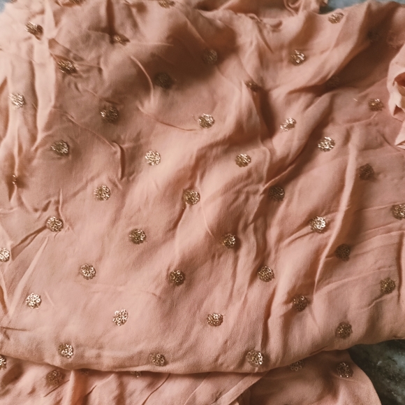 Light peach Pure chiffon sequin motif fabric /saree - Picture 3 of 5